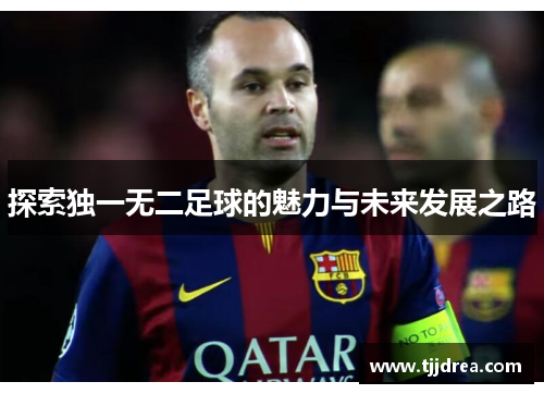 探索独一无二足球的魅力与未来发展之路 探索独一无二足球的魅力与未来发展之路